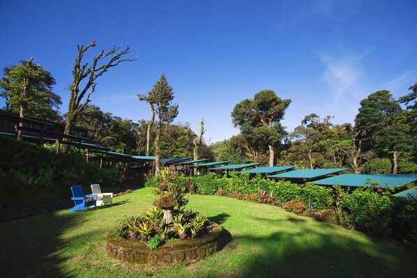 Un jardín con zona de estar, construcciones cubiertas y diversas especies de árboles.