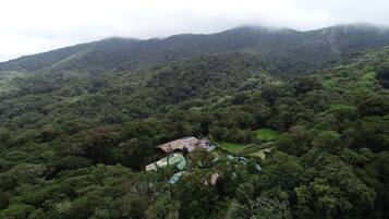 A mountainous landscape with dense forest. A small building with solar panels is visible.