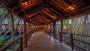 A wooden walkway with a thatched roof, surrounded by lush greenery and trees. -  Select Club at Sandos Caracol All Inclusive - Adults Only Area (Playa del Carmen)