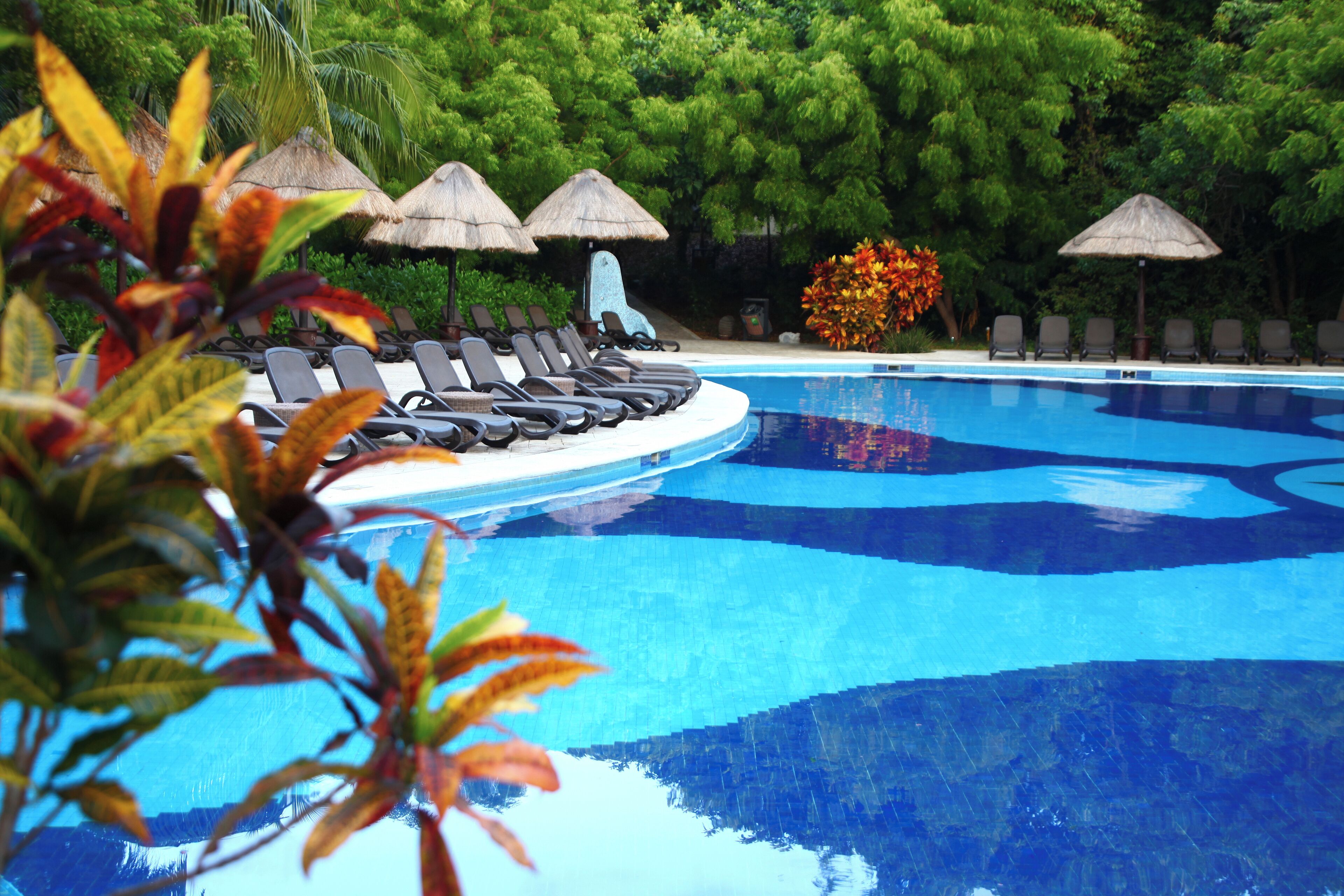 Outdoor pool, pool umbrellas, sun loungers