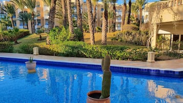 Piscina com um cacto em vaso, rodeada por palmeiras e um edifício com varandas.