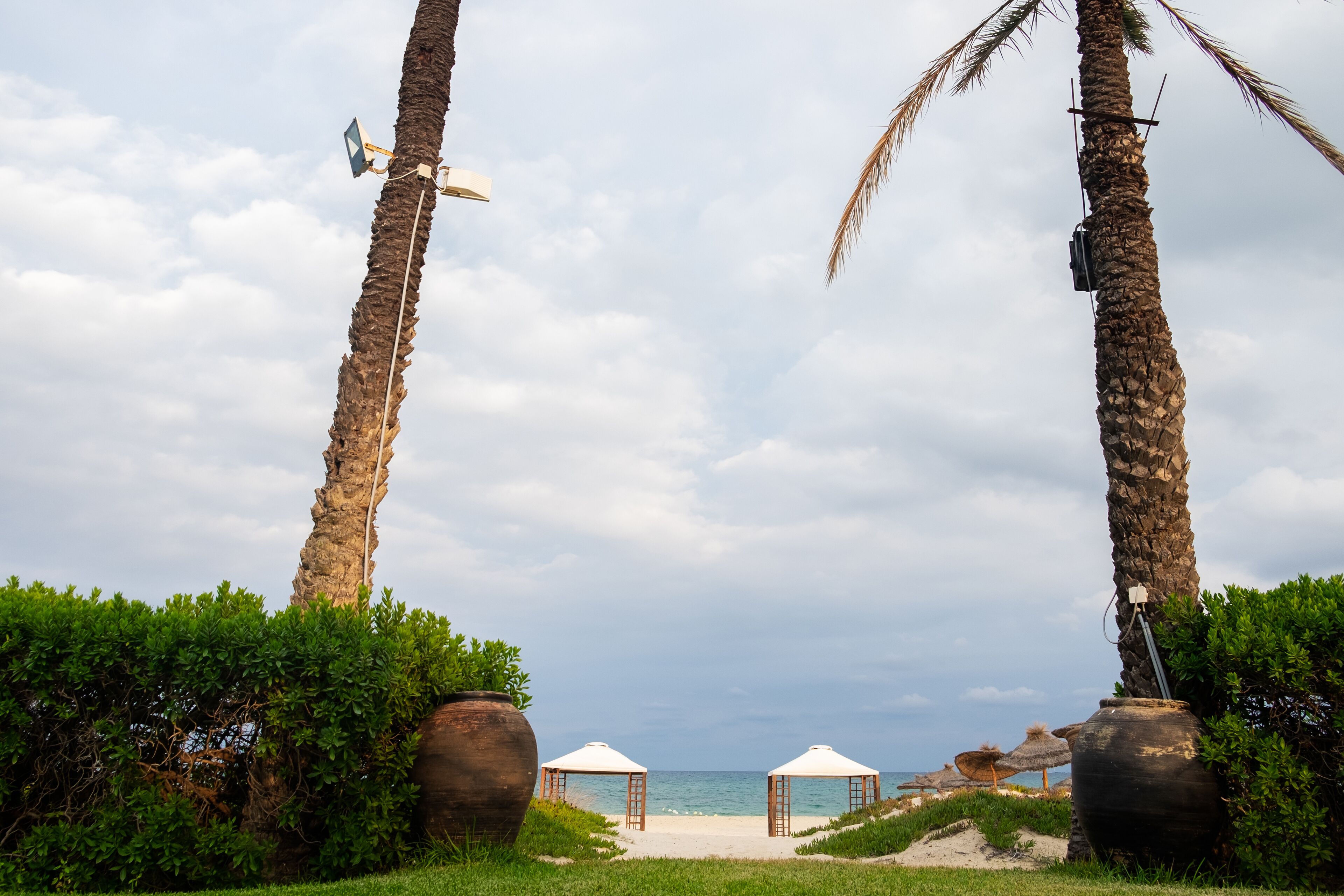 Ein Strand mit Palmen, zwei weißen Lauben und einem großen Topf.