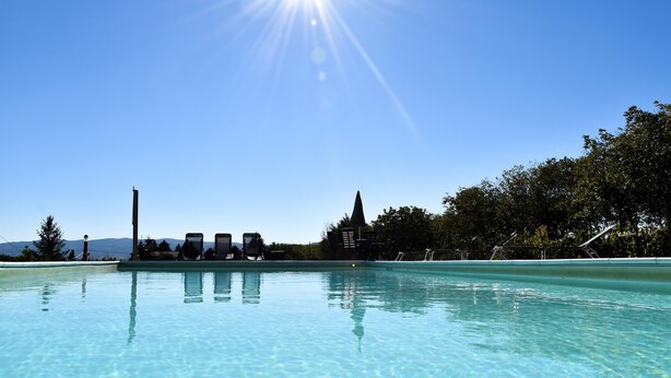A clear blue pool with a sunny sky, surrounded by trees and a mountain in the background.