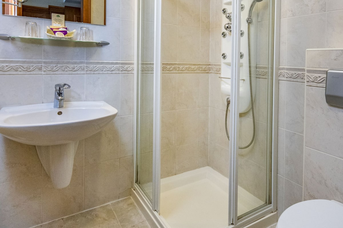 standard double or twin room | bathroom | shower, free toiletries, hair dryer, bathrobes