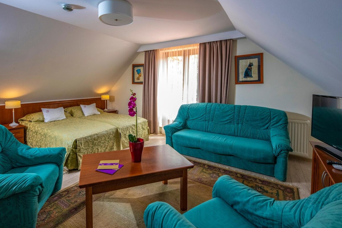 Habitación de hotel con cama, dos sillas, sofá, mesa, televisor y ventana con cortinas.