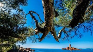 NĂ€ra stranden, vit sandstrand, solstolar och parasoller