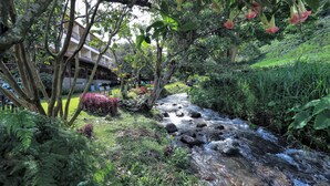 A lush garden with a stream, trees, and a building with balconies. - Hotel Valle del Rio, SA (Boquete)