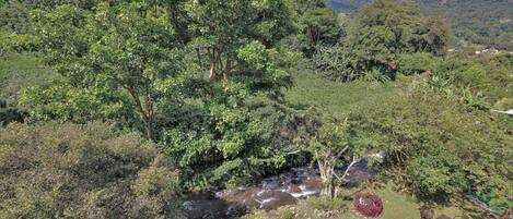 Un exuberante jardín con una pequeña cascada, bancos y un parterre circular.