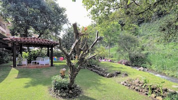 Un jardín con un pabellón, un arroyo pequeño y una gran variedad de plantas.