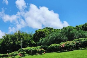 Vistas desde el alojamiento