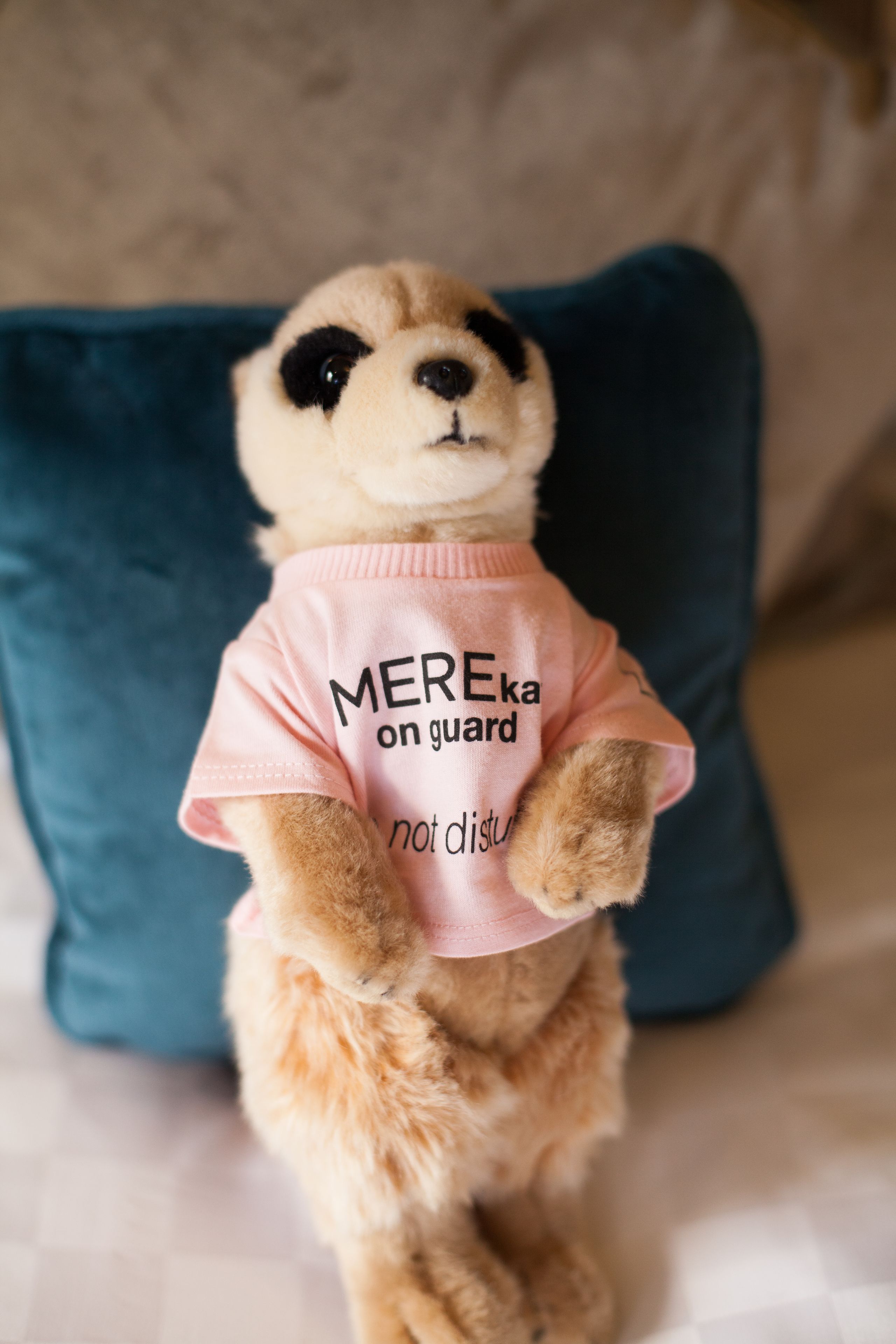 premium bedding, minibar, in-room safe, cots/infant beds