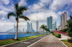A cityscape with high-rise buildings, a paved pathway, and a palm tree. - Las Clementinas (Panama City)