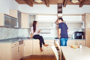 Apartment, Patio, City View | Private kitchen