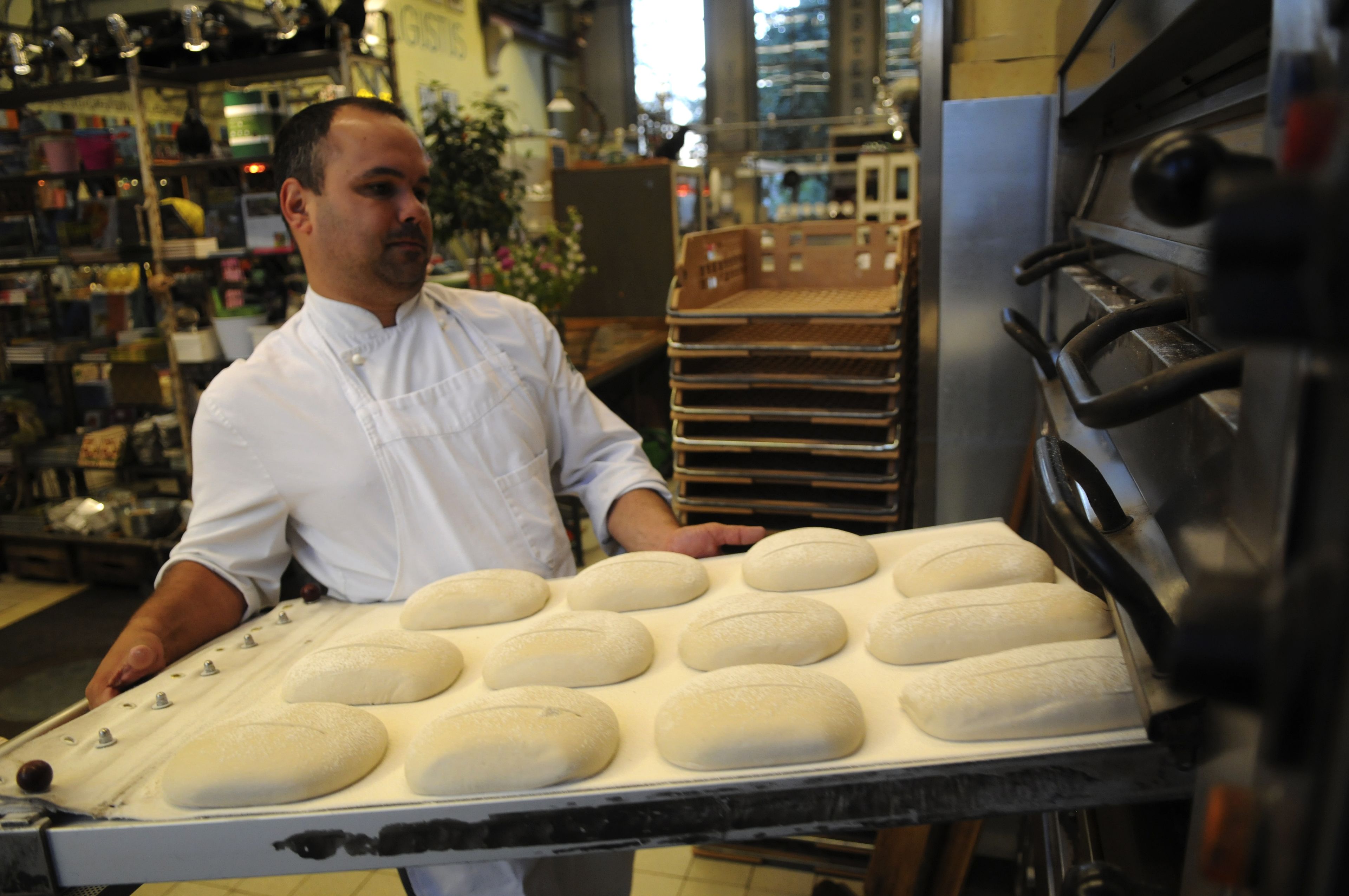 Photo - Villa Augustus