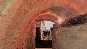 Un stretto corridoio in mattoni con pavimento piastrellato, che conduce a una zona più luminosa con una pianta in vaso e un lampadario.