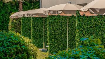 Terras