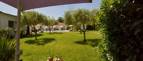 A well-maintained garden with a pool, outdoor seating, and a building in the background.