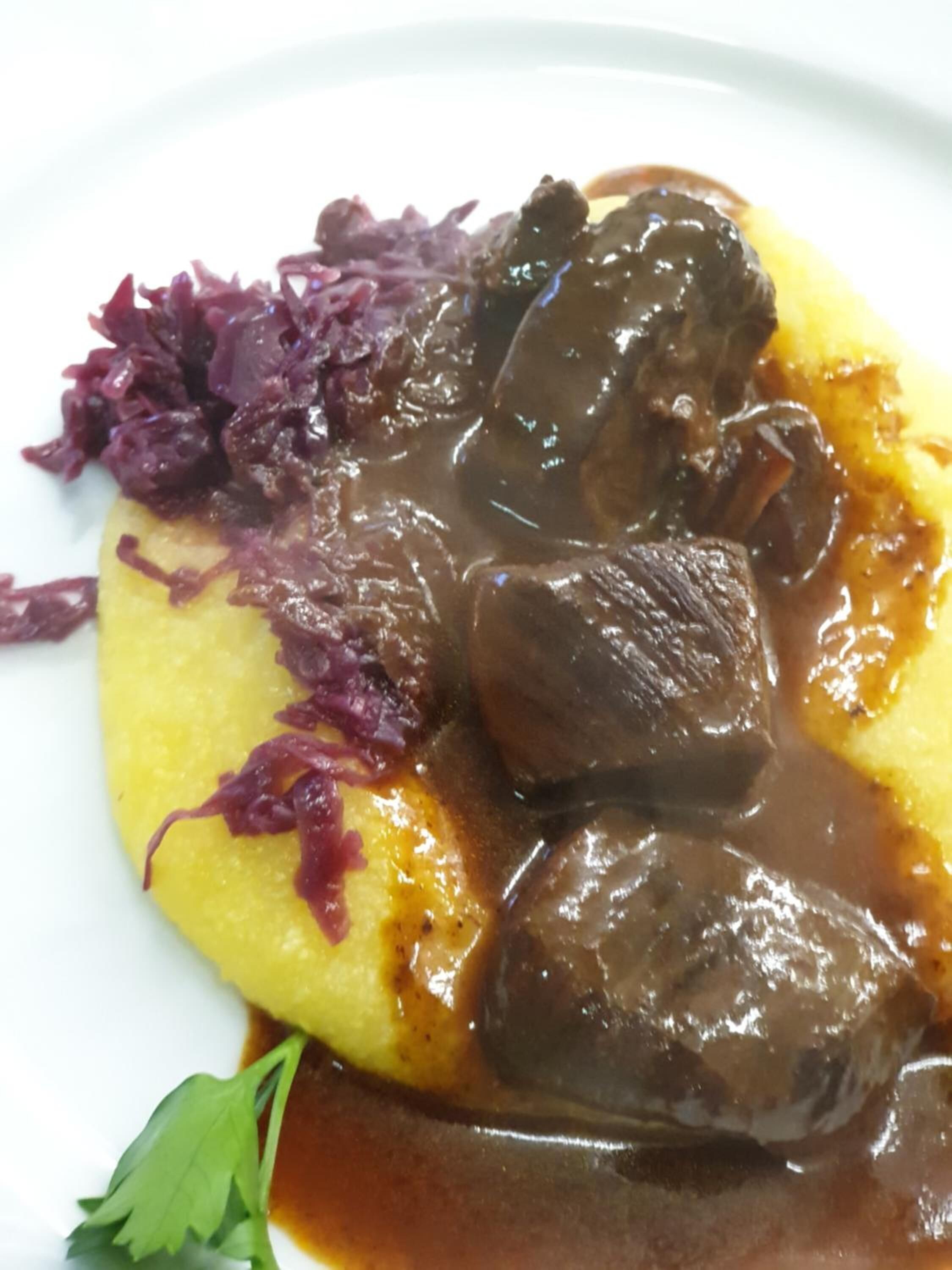 A plate with a yellow base, topped with a dark brown sauce and pieces of meat, accompanied by a side of red cabbage.