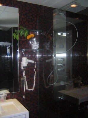 Shower, hair dryer, towels