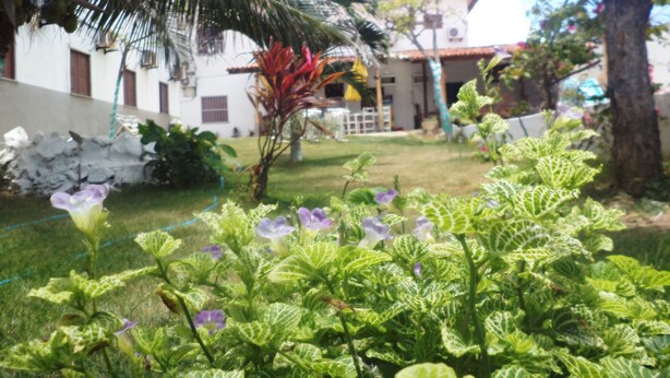 Garden - Pousada Veraneio (Fortaleza)