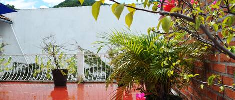 A rooftop terrace with potted plants and a white railing.