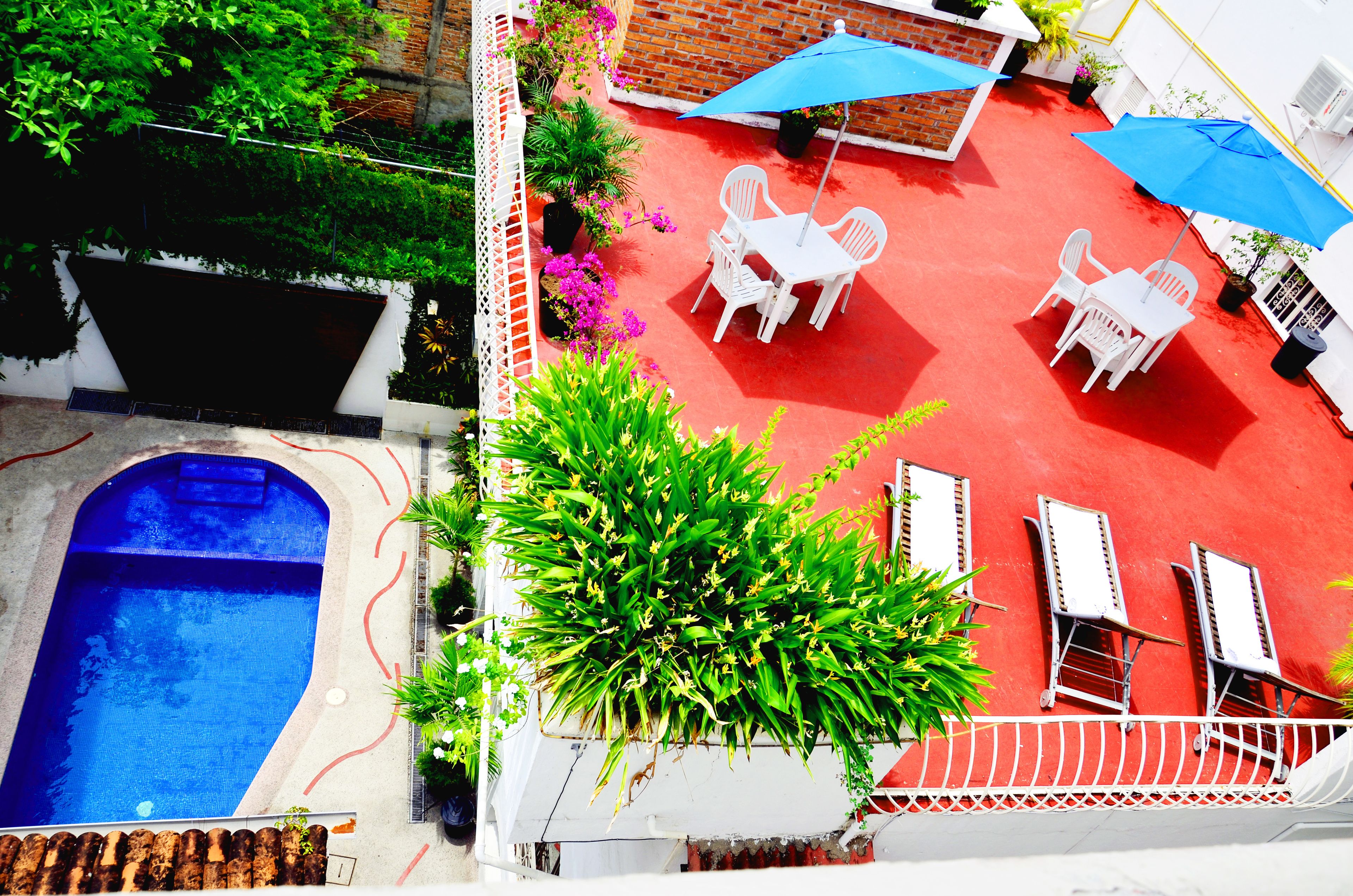 A rooftop pool with a red floor, surrounded by white chairs and umbrellas, and a large green plant in the center.