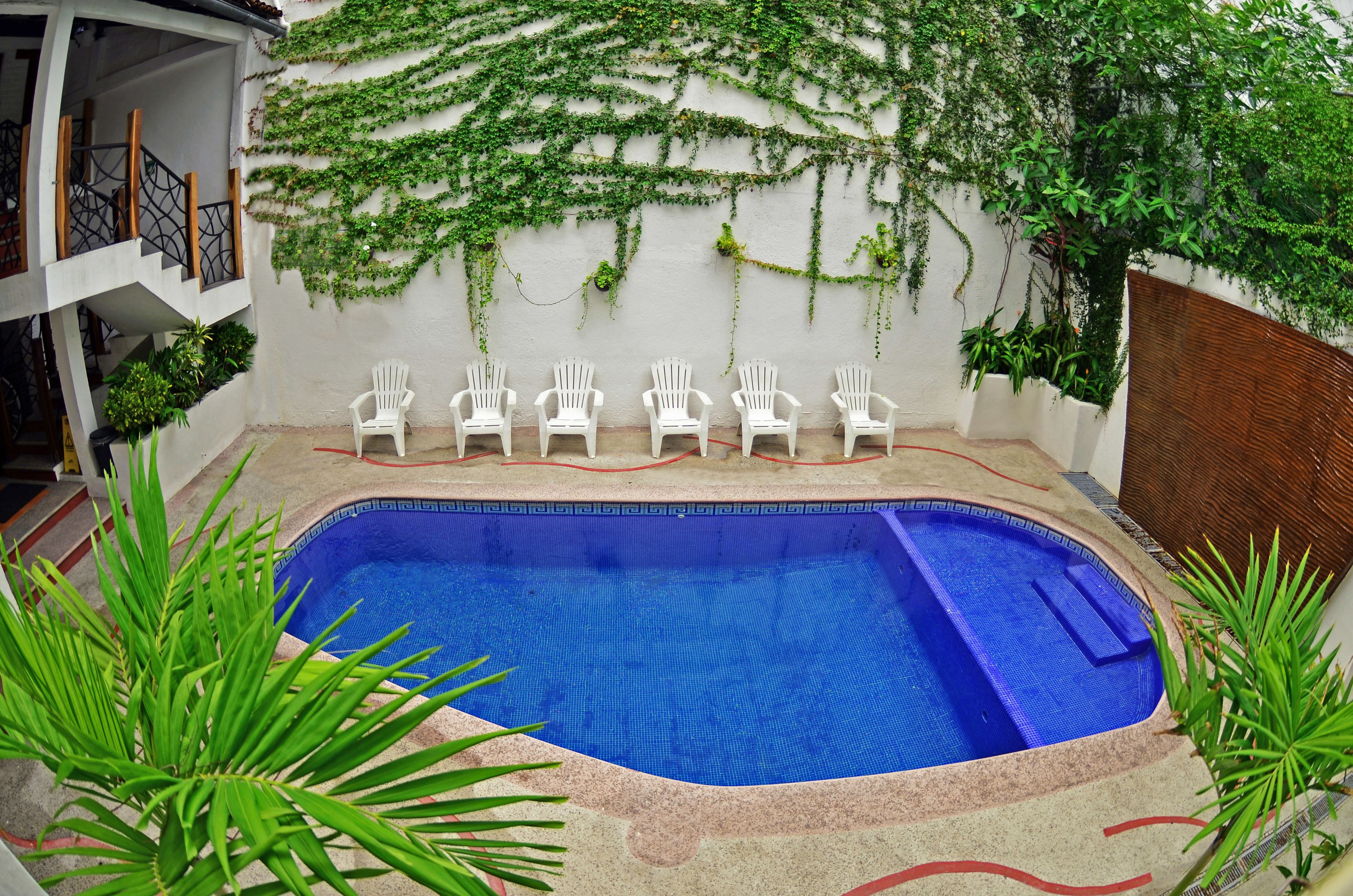 A swimming pool with white chairs, surrounded by greenery and a white wall with vines.