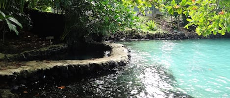 Natural pool