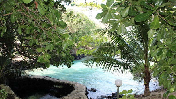 Una piscina naturale circondata da vegetazione lussureggiante e acque cristalline.