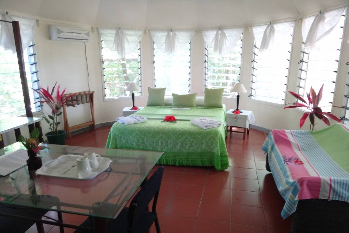 A room with two beds, a dining table, chairs, a small table with a lamp, and a potted plant.