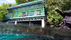 Un edificio con tetto verde e pareti bianche, immerso nel verde e con una piscina cristallina.