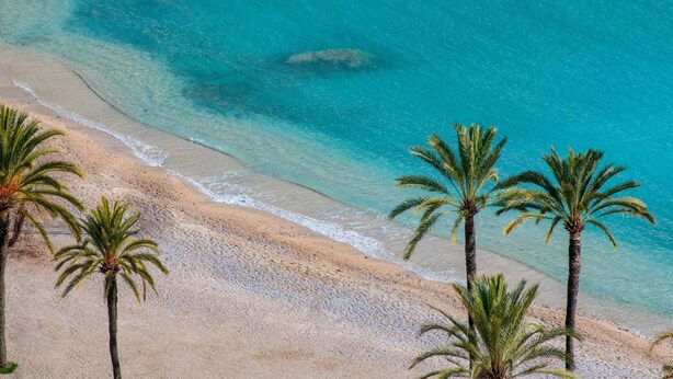 A beach with clear turquoise water, sandy shore, and palm trees. - ibis Styles Beaulieu Sur Mer (Beaulieu-sur-Mer)