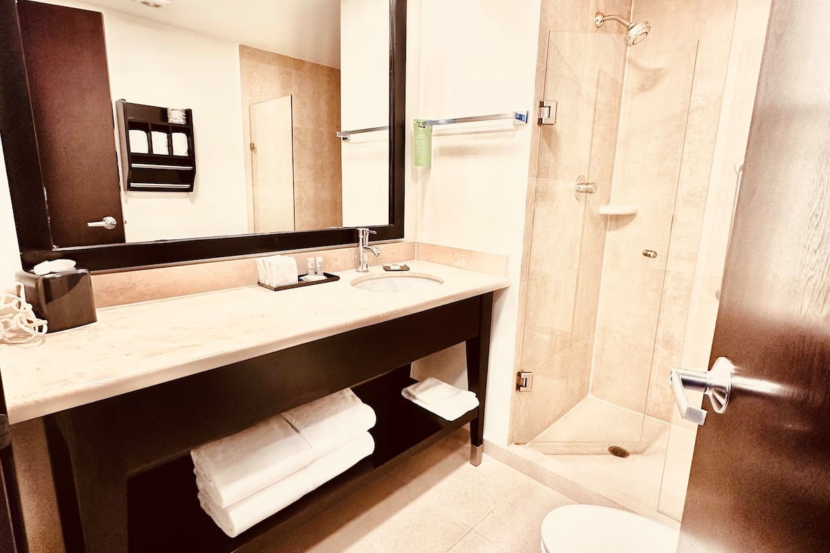 bathtub, free toiletries, hair dryer, towels