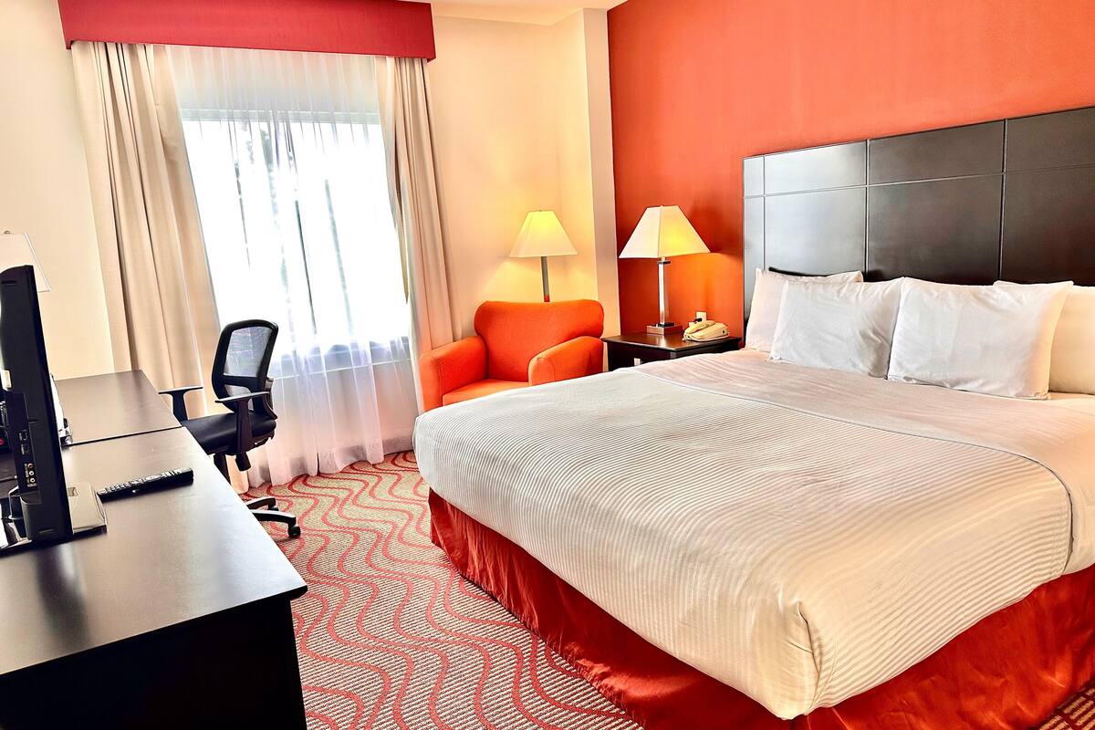 room, 1 king bed, non smoking, city view | premium bedding, down duvets, in-room safe, desk