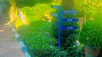 Jardí