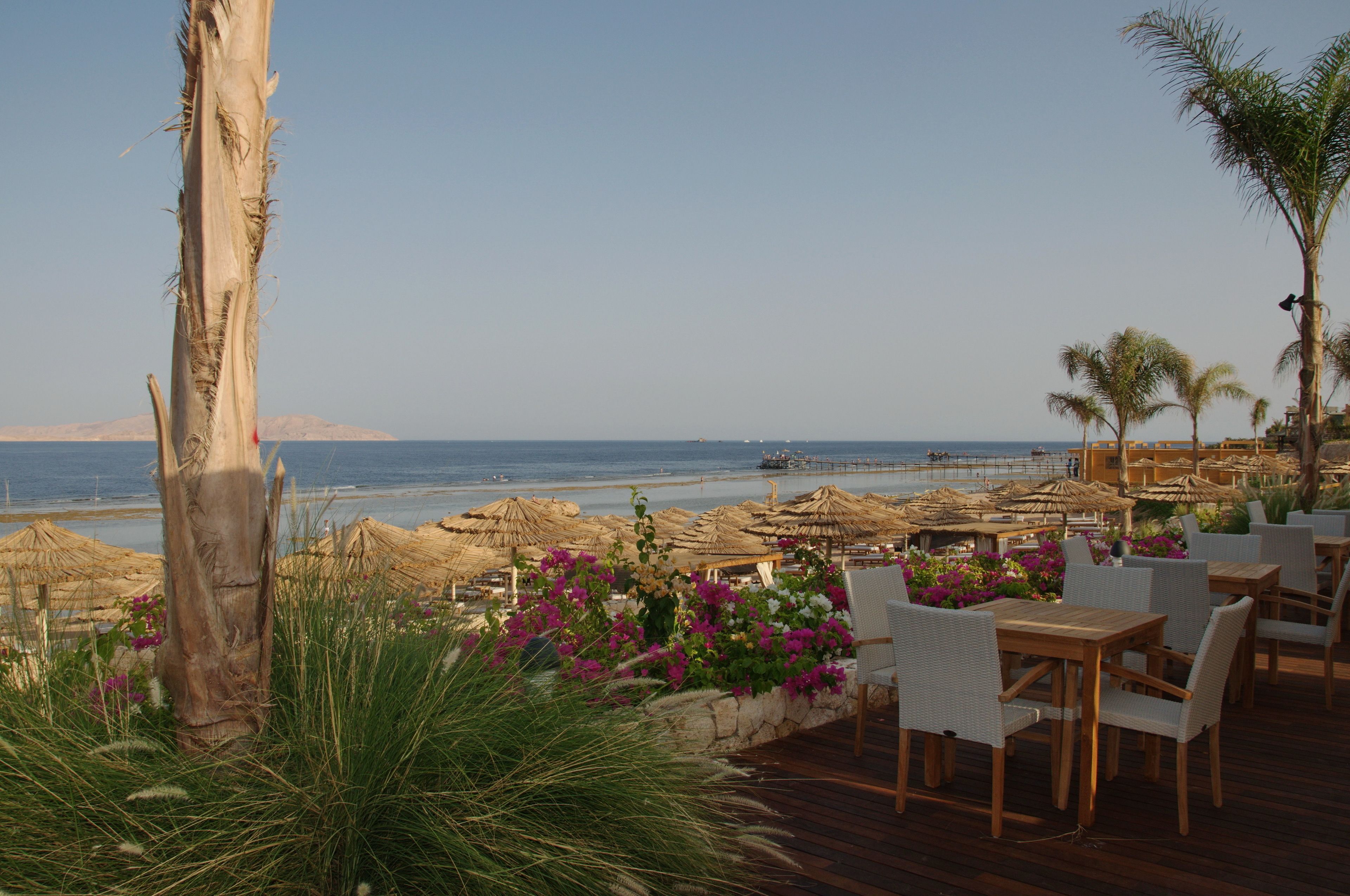 A seaside restaurant with outdoor seating, a wooden deck, and a view of the ocean and beach.