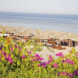 Playa privada, camas de playa gratuitas, camastros y sombrillas