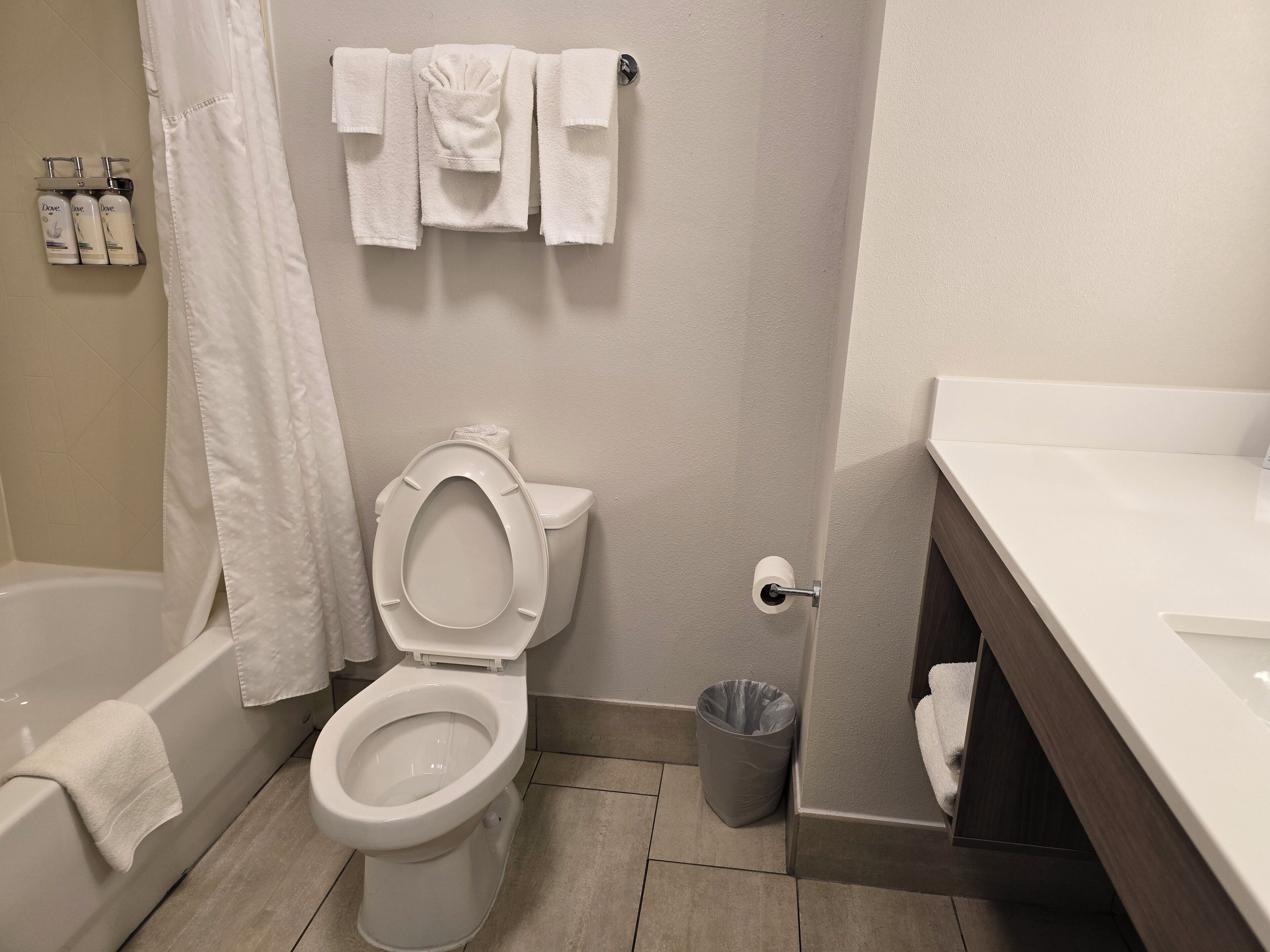 combined shower/bathtub, free toiletries, hair dryer, towels