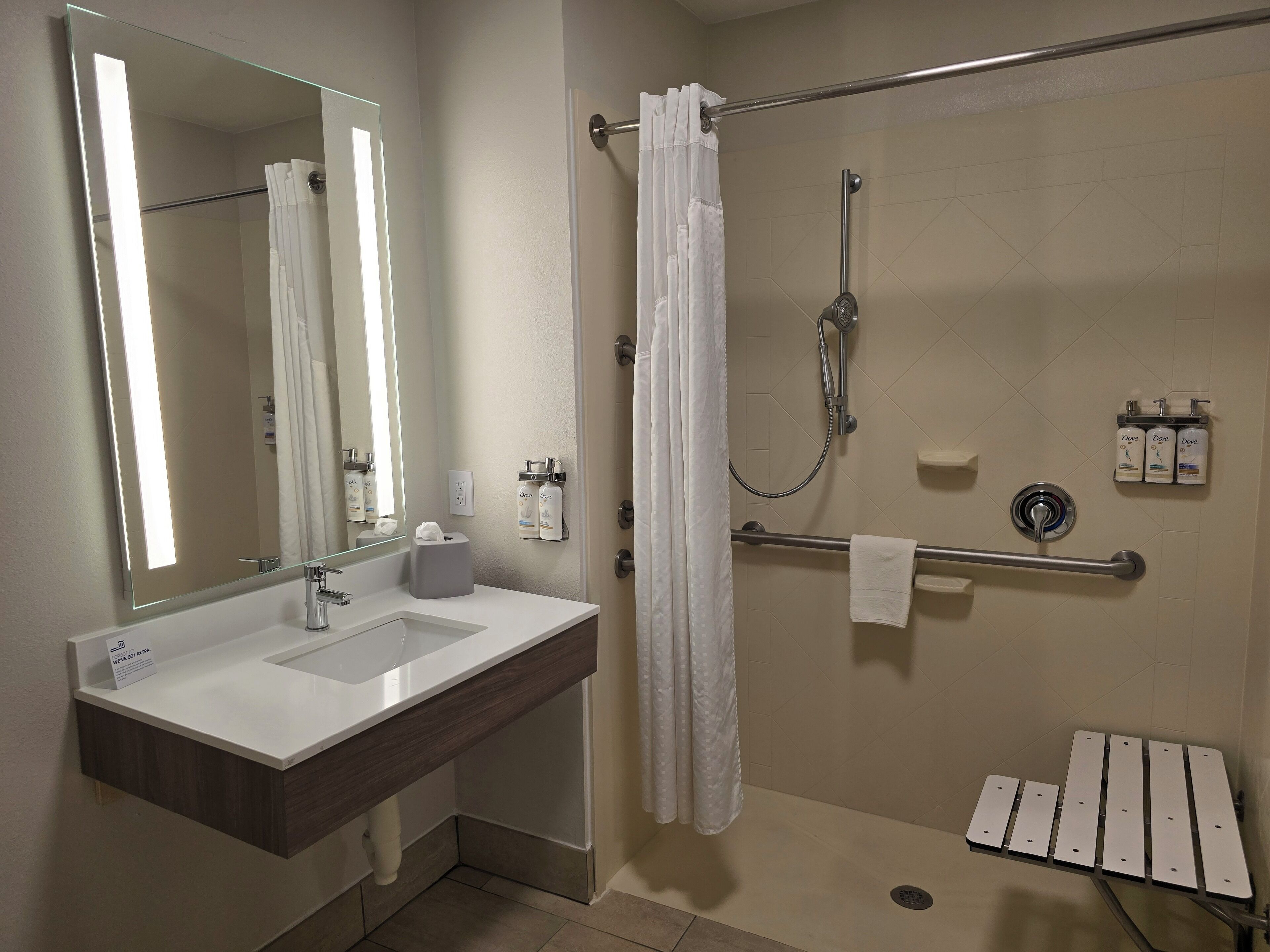 standard room, 1 king bed, roll-in shower (roll-in shower) | bathroom | combined shower/bathtub, free toiletries, hair dryer, towels