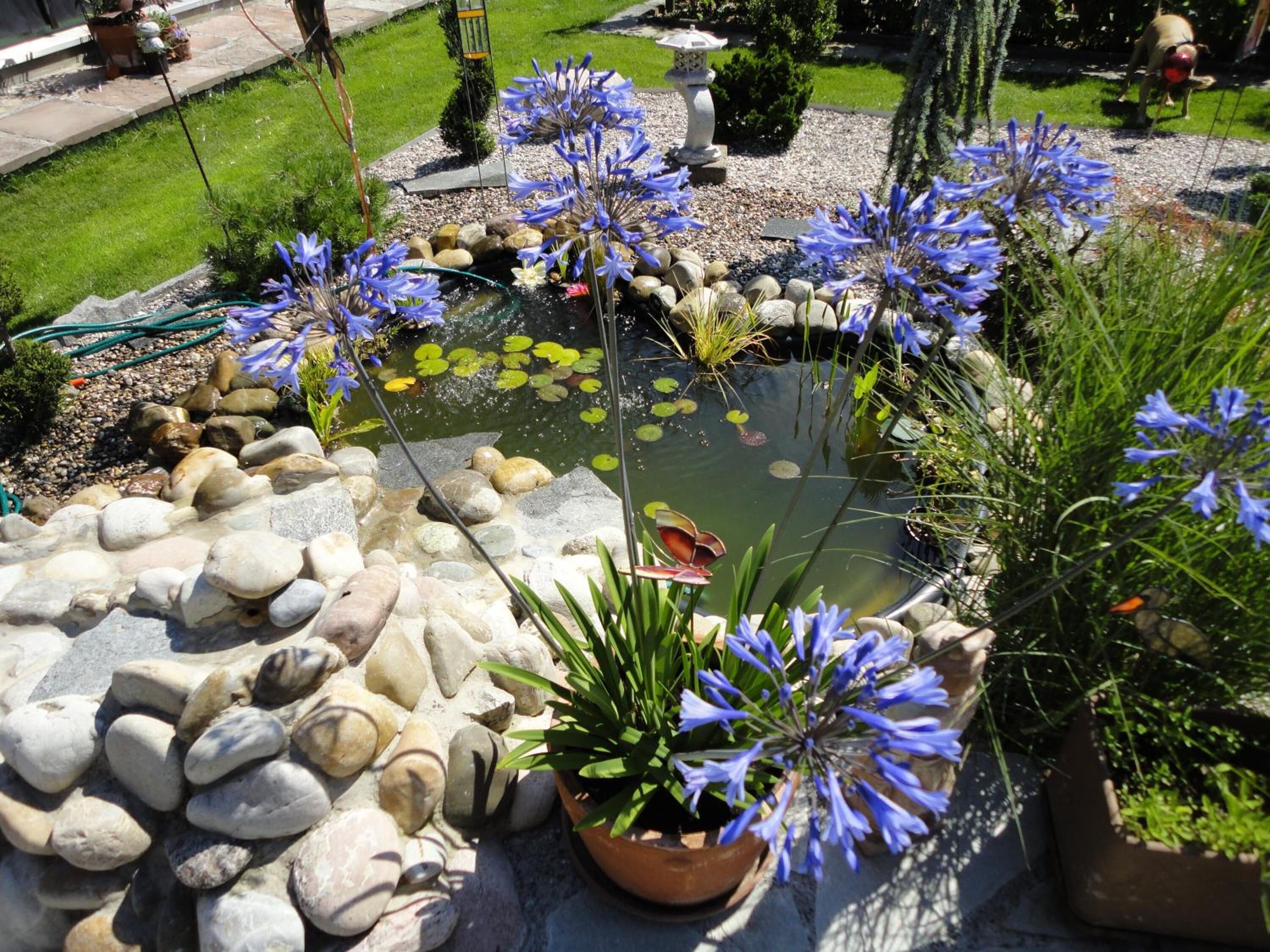 Jardines del alojamiento