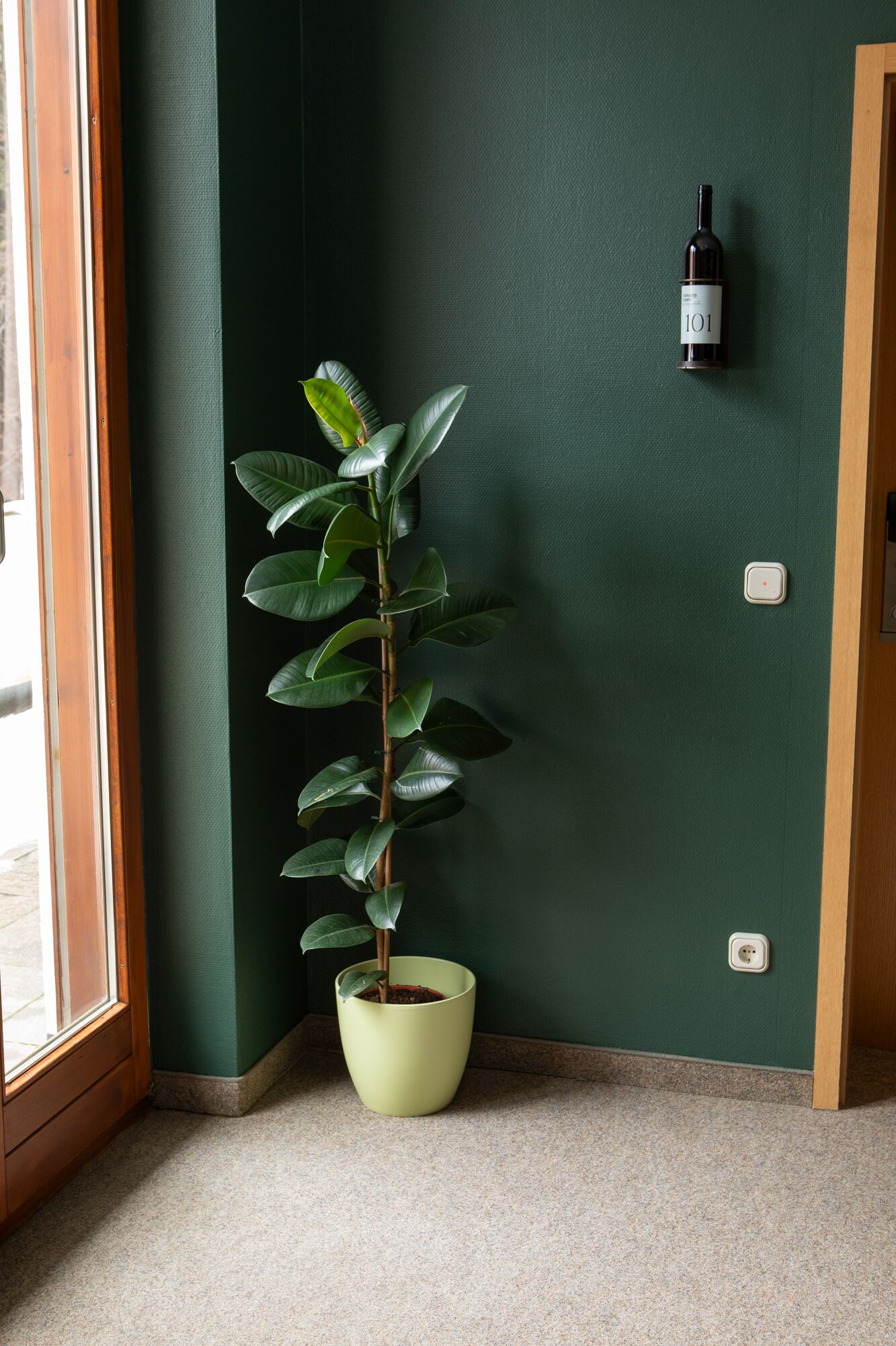 建物のデザイン