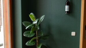 A potted plant in a corner with a green wall and a wooden door. - hideauts hotels Der Rosengarten. (Fuessen)
