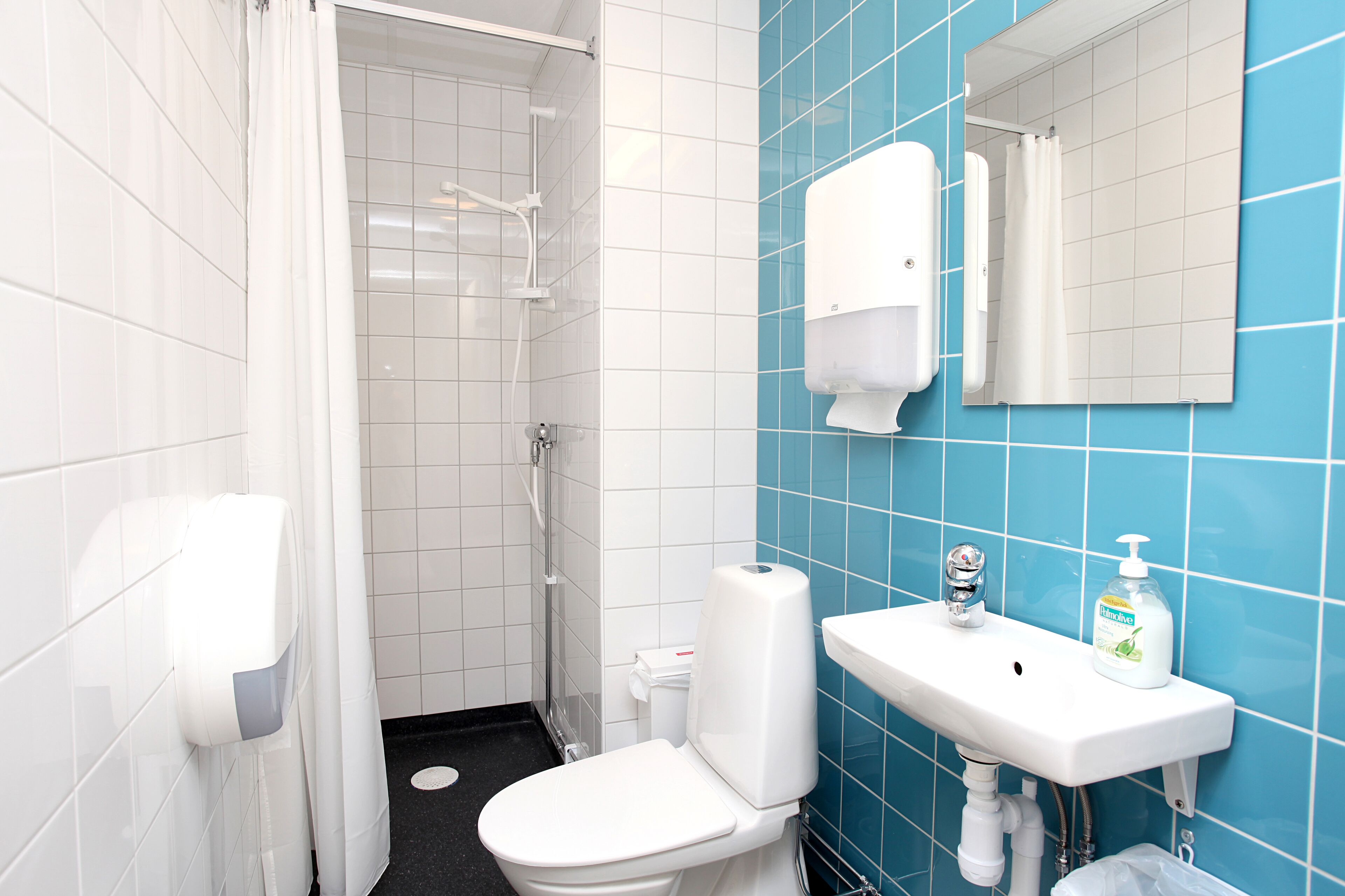A bathroom with a white toilet, a sink with soap dispenser, and a shower area.