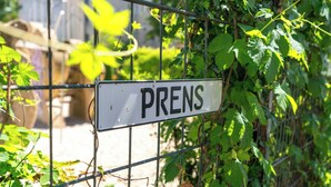 A sign with the word "PRENS" on a metal fence. - Hotel Prens Berlin (Berlin)