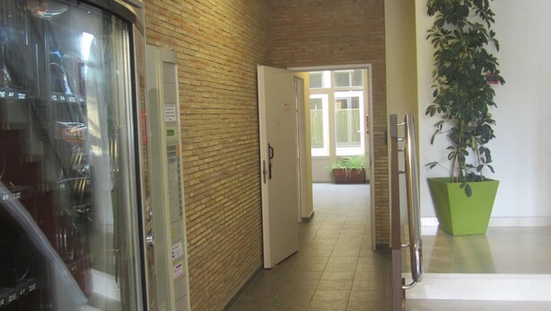 Un pasillo con pared de ladrillo, puerta de cristal, planta verde y una escalera.