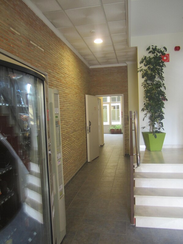 Hallway - Hostal El Estudio (Almansa)