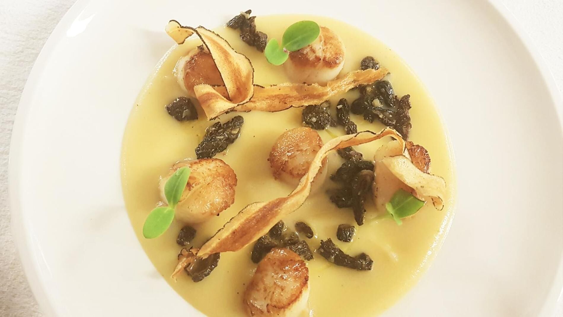 lunch and dinner served, regional cuisine