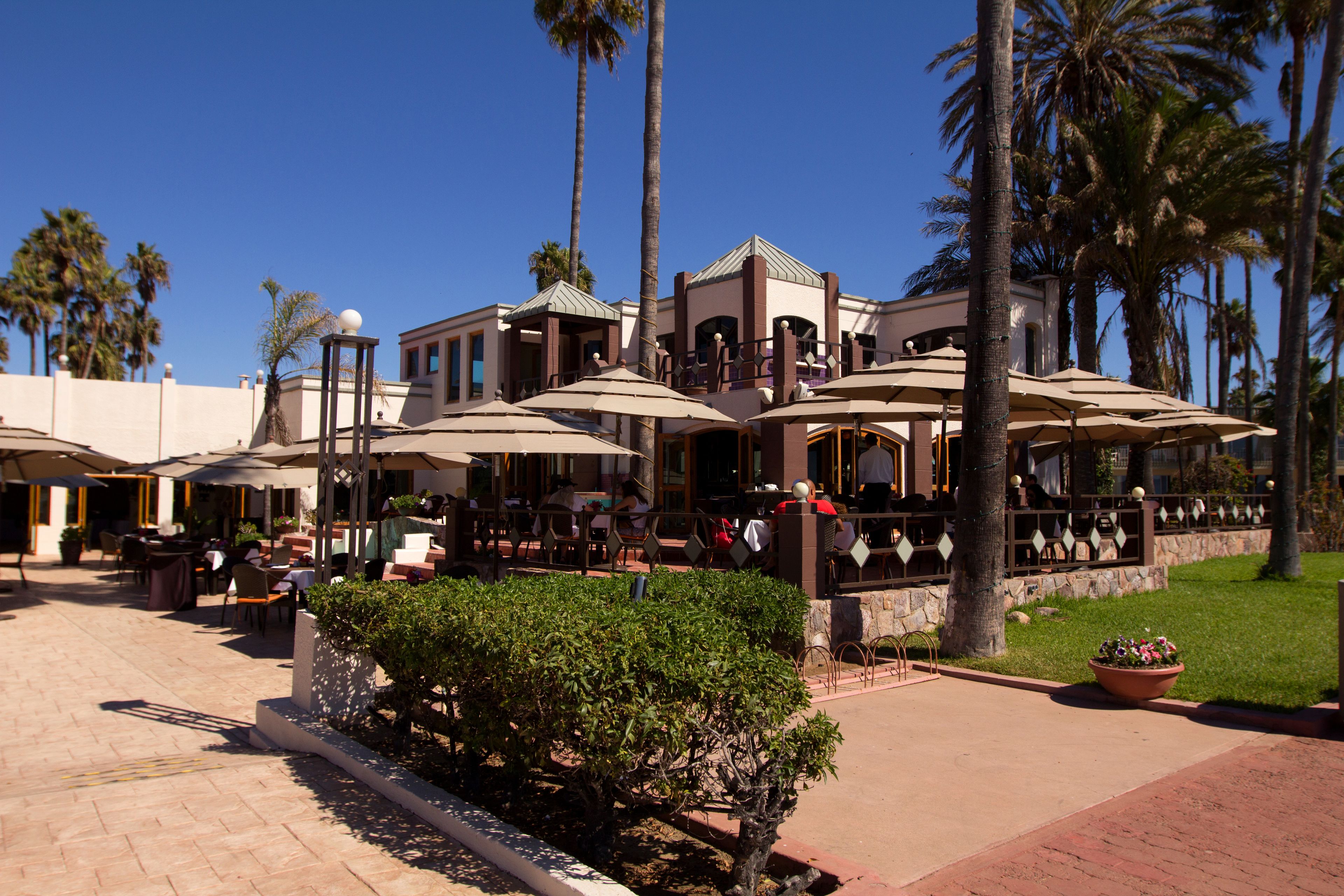 An outdoor dining area with multiple tables and umbrellas, surrounded by palm trees and a well-maintained lawn.