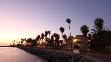 A coastal view with a rocky breakwater, palm trees, and buildings with balconies under a twilight sky.
