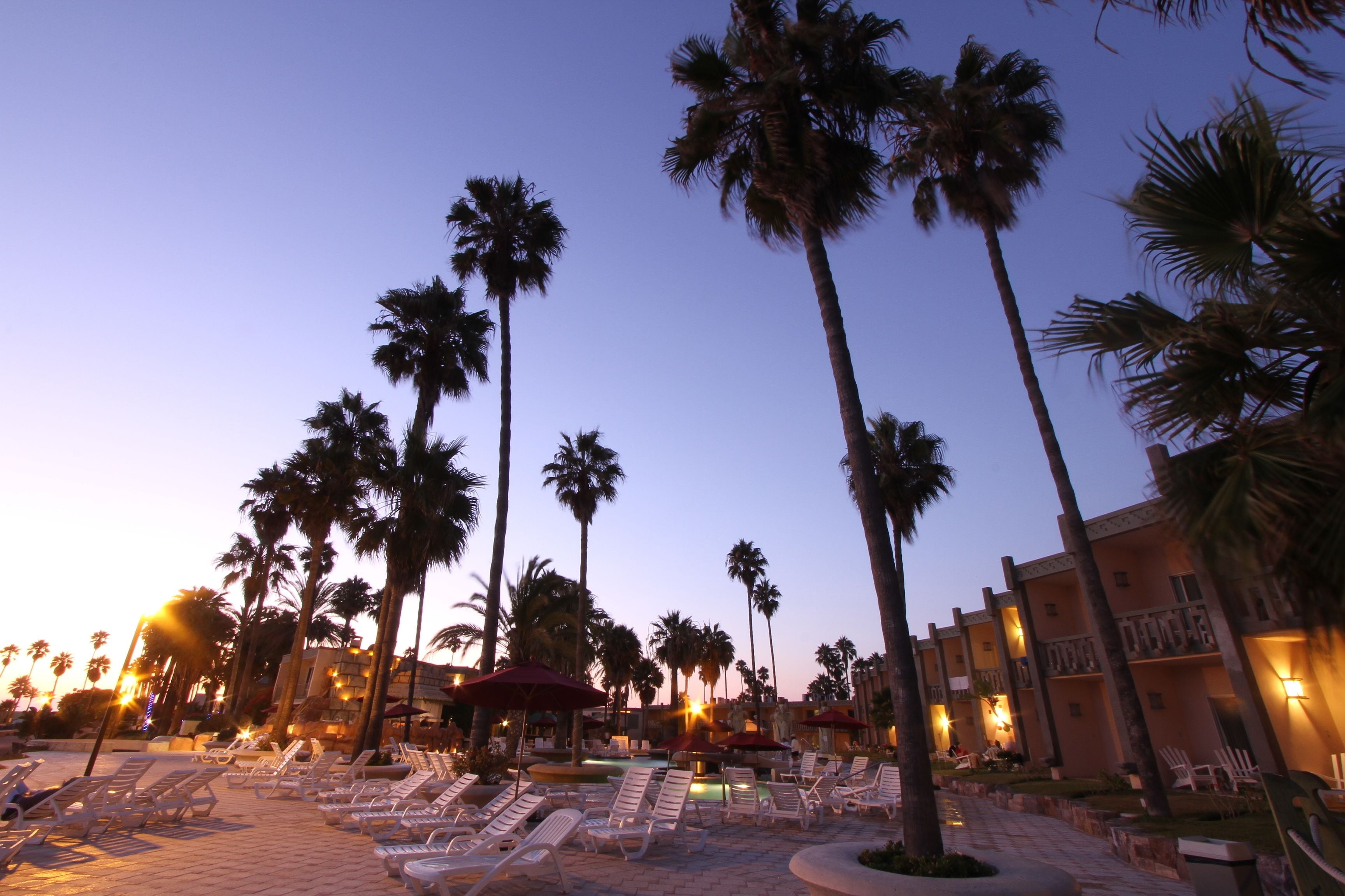 A resort pool area with sun loungers and palm trees at dusk.